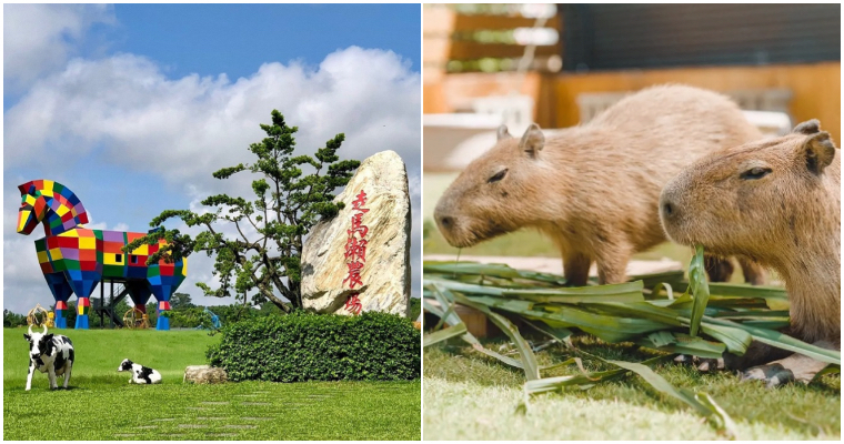 人氣 水豚君 來了 網友票選 療癒指數超高 6 大生態農場 這裡 集結30 種動物 有趣豐富的新聞網