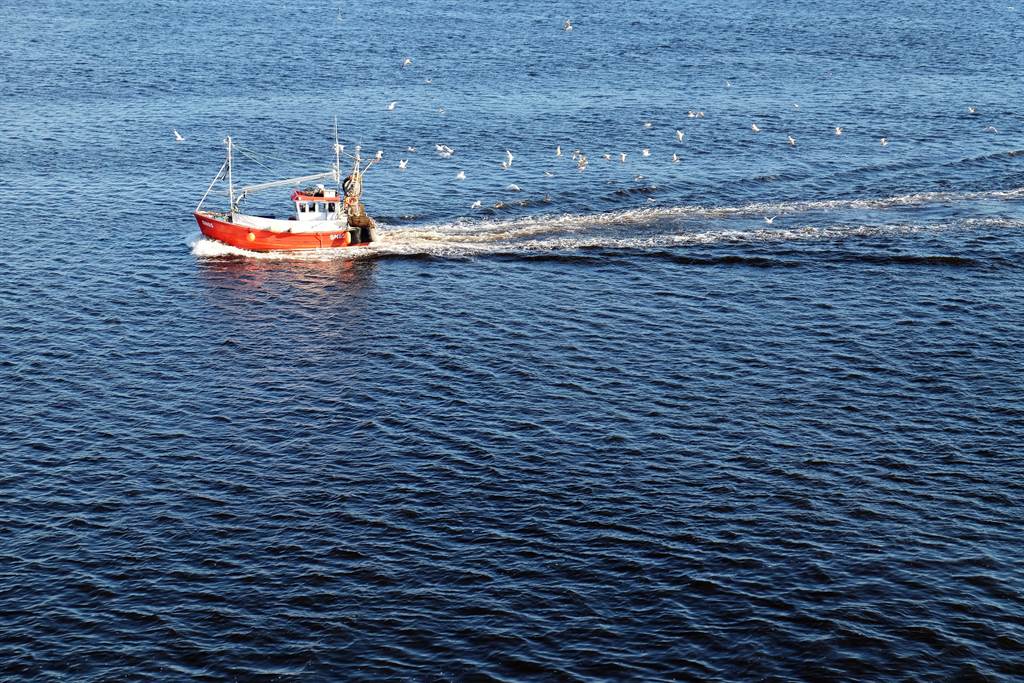 恐怖海怪追殺漁船雙眼詭異發光47秒逃亡片曝光 有趣豐富的新聞網