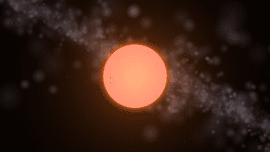072520kszw52f4li1krl17.png