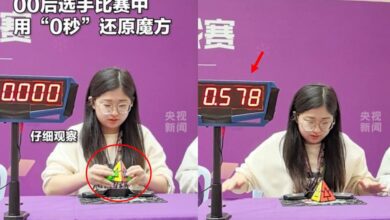 0847204vt6y8u2op2oik8e.jpg
