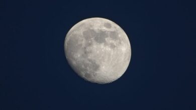 090502h45lw5l4i19krl53.jpg