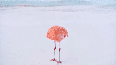 091952llmscs3o6hzlhkzm.png
