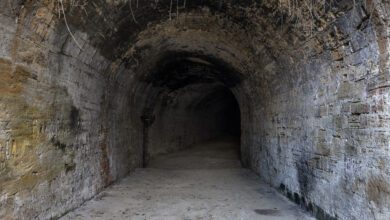 095846zmogcr5x6nnczd5m.jpg
