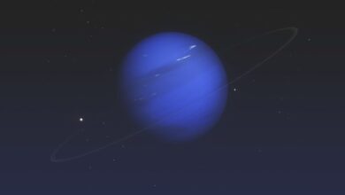 10050427n7oqzryw2wwwtp.jpg