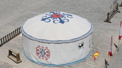 102035zkoiyeqbfojkve8e.jpg