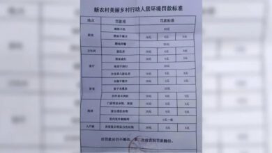 c9d9aac0a643a5289b81713701010086.jpg