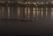 0813058dsxnq2s1n8kwcfn.png