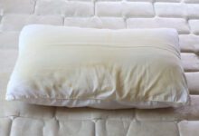 080512tk1yhfidizpiaipe.jpg