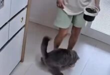 0814040zbphhahavipj0v0.jpg
