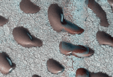 1002111p6wrz514lo4wkw5.png