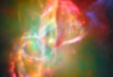 5162721_1_1.jpg