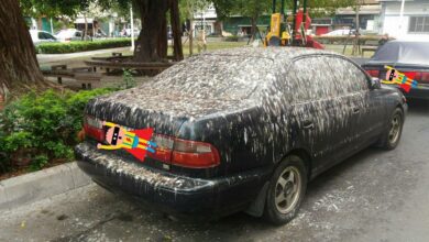 074212rb8t7rrbzmatcxzr.jpg