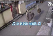 230750rpppxdh36sn3ywcp.jpg