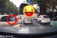 20260525003302.jpg