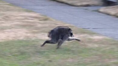 phpVRfgtC.jpg