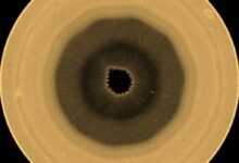20260903004797.jpg
