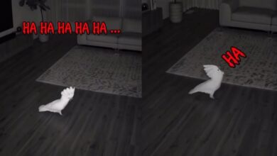 20260908004804.jpg