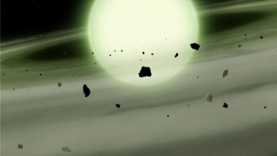 20261016004575.jpg